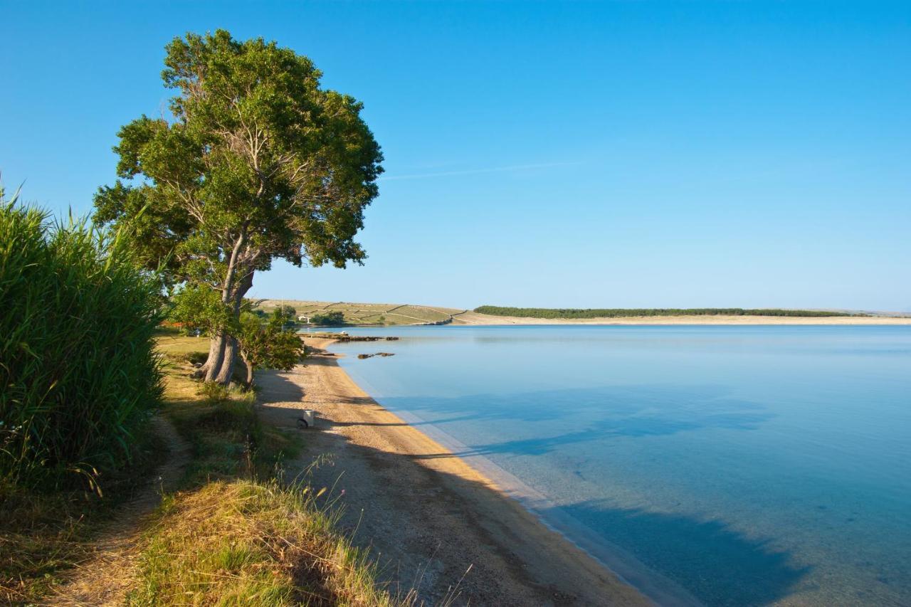 Family Friendly Apartments With A Swimming Pool Povljana, Pag - 244 Экстерьер фото